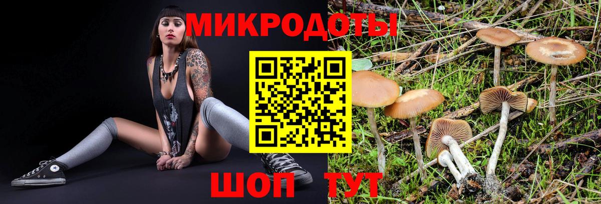 Псилоцибиновые грибы Magic Shrooms  Псилоцибиновые грибы Magic Shrooms  Вход с VPN  наркотики  Балтийск 